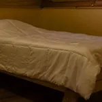 Cabana Santa Amelia Antuco Pet Friendly
