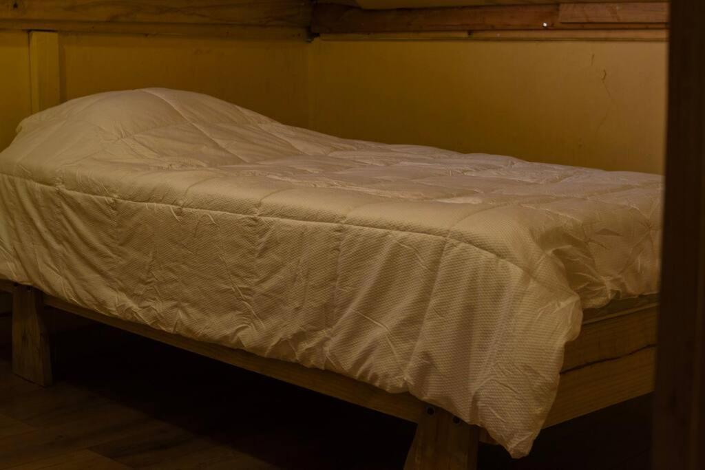 Santa Amelia Antuco Pet Friendly Apartamento Peluca