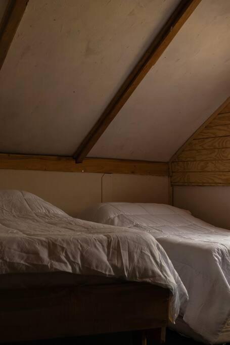 Apartamento Santa Amelia Antuco Pet Friendly